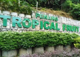 Penang Tropical Fruit Farm